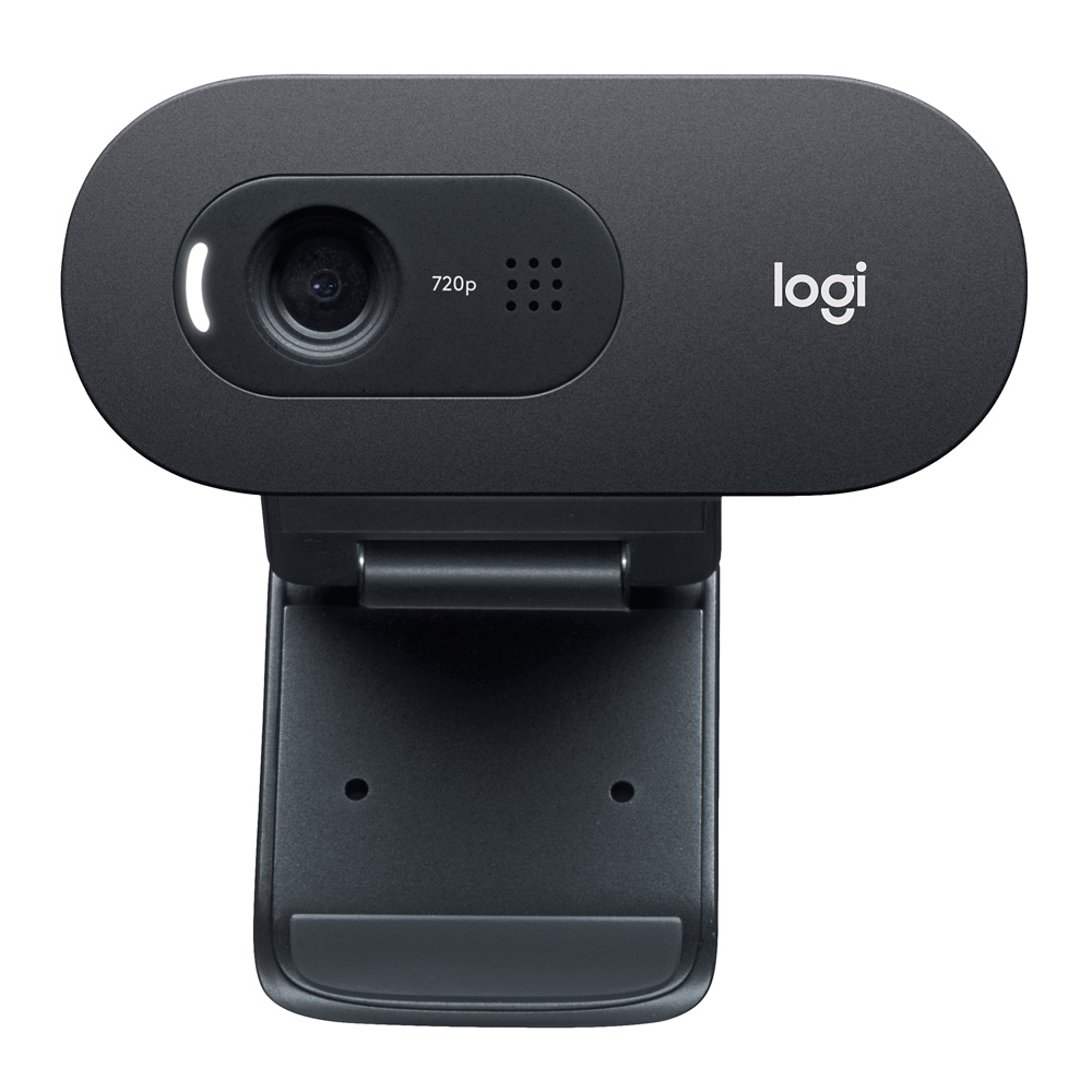 Kamera interentowa Logitech C505 HD