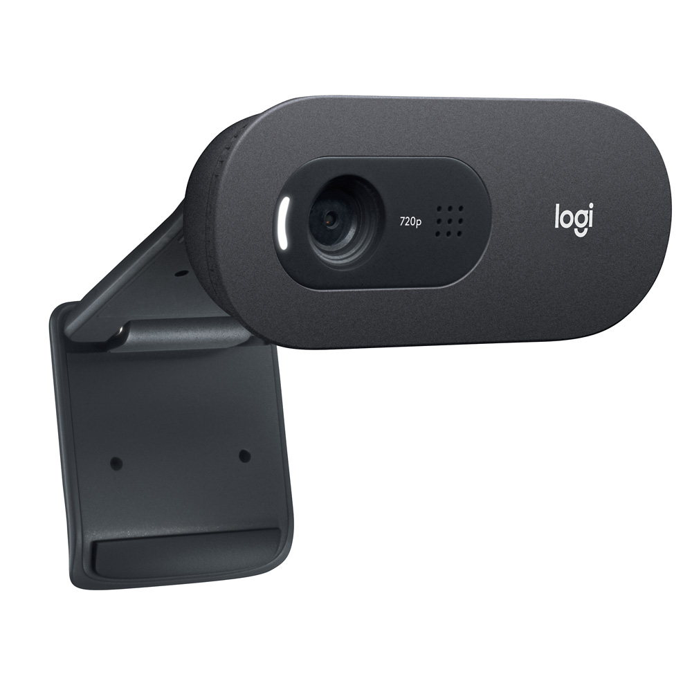 Kamera interentowa Logitech C505 HD