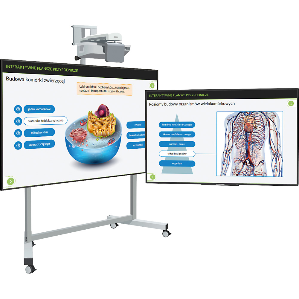 Interaktywne Plansze Przyrodnicze - Biologia kl. 5-8